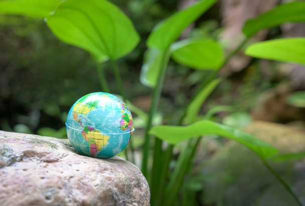 Globe planet earth in the nature surroundings. Environment and conservation concept. - Foto, Bild