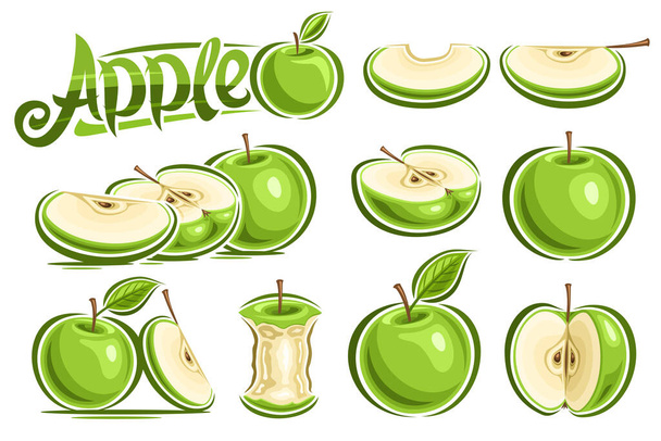 Vektor-Set von grünen Äpfeln, Sammlung von Ausschnittbildern ganze und in Scheiben geschnittene natürliche Äpfel mit Cartoon-Design Blatt und Stiel auf weißem Hintergrund, einzigartige Pinselschrift für grünen Wortapfel. - Vektor, Bild