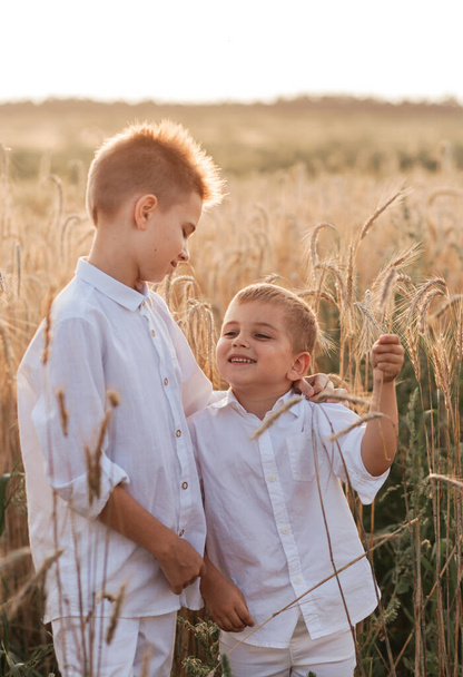 Dos hermanos pequeños juegan y caminan en la naturaleza en el verano. Feliz infancia. Emociones positivas - Foto, Imagen