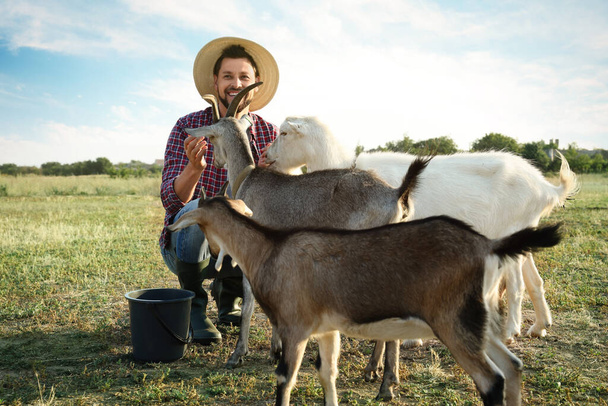 Man with goats at farm. Animal husbandry - Fotó, kép