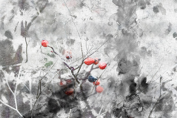 Красные спелые ягоды на зимнем кусте в лесу. Замороженные фрукты на ветвях, покрытых морозом и снегом. - Фото, изображение