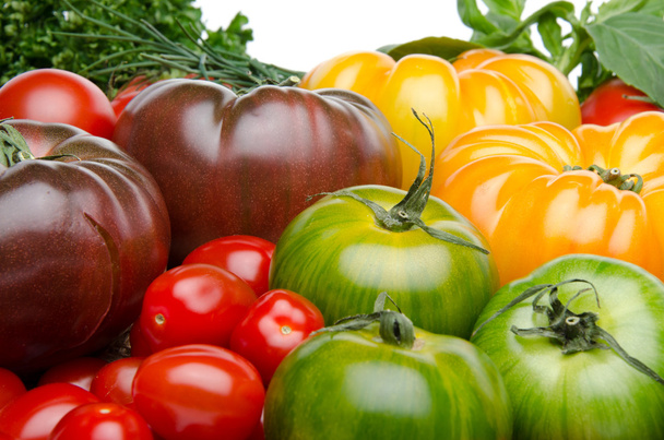 Diferentes variedades de tomates
 - Foto, Imagem