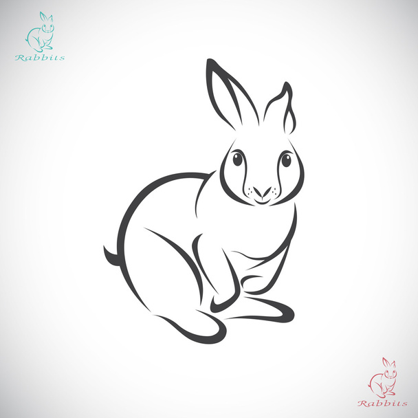 Векторне зображення кролика
  - Вектор, зображення