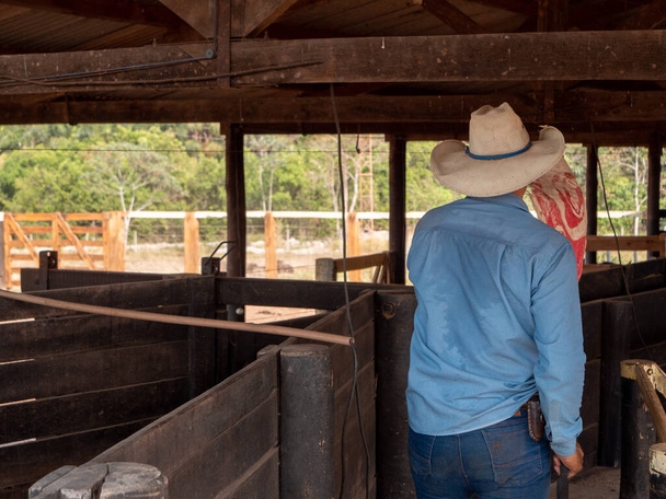Cowboy is working inside a cattle corral - Photo, Image