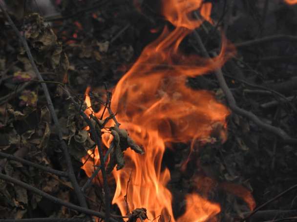 Nahaufnahme wunderschöner, lebendig glimmender Feuerhölzer, die in Flammen aufgingen. Atmosphärisch warmer Hintergrund mit orangefarbener Flamme aus Lagerfeuer und grauer Asche. Wunderbares Vollbild des Feuers. - Foto, Bild