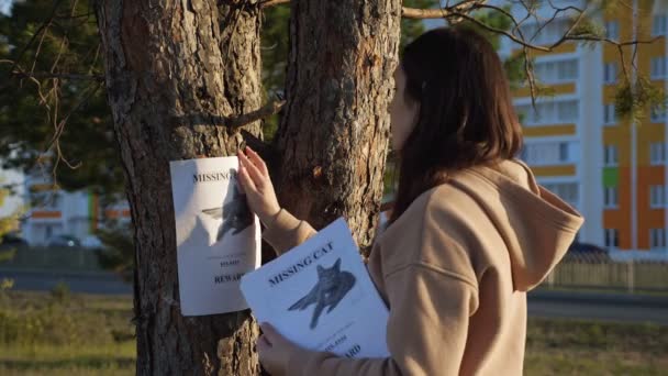 Lady hangs poster of missing cat and strokes photo on tree - Footage, Video