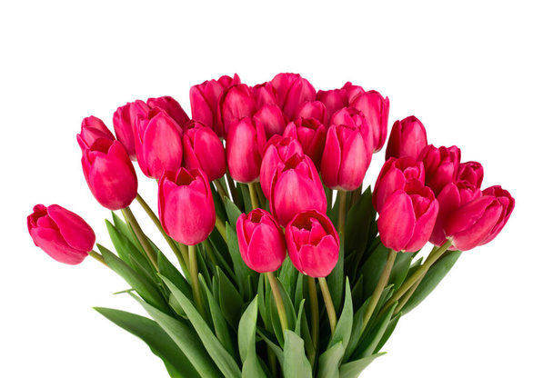 Bouquet of tulips isolated on white background - Zdjęcie, obraz