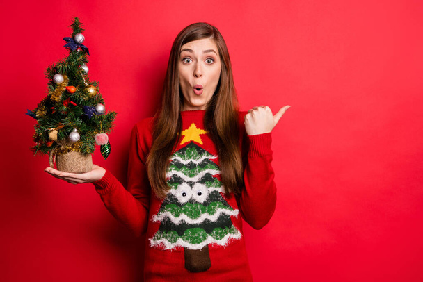 Photo of impressed millennial lady hold small tree point empty space wear holiday sweater isolated on red color background - Foto, afbeelding