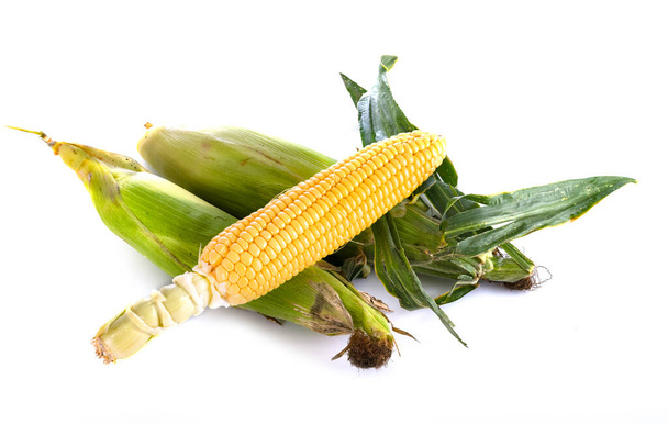 maíz dulce frente a fondo blanco
 - Foto, imagen