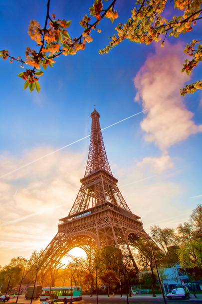 Eiffel Tower during spring time in Paris, France - Zdjęcie, obraz