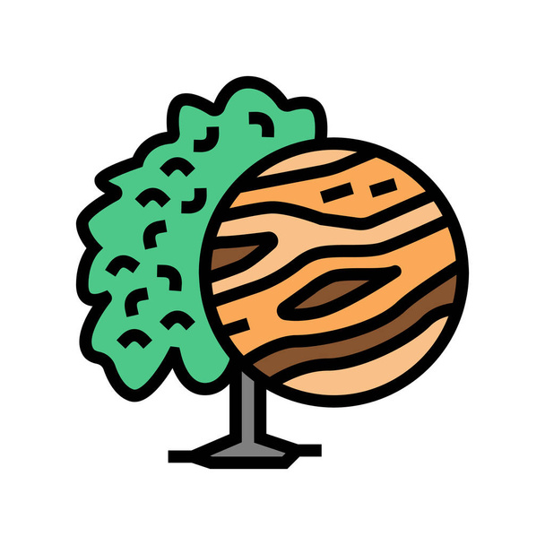 mango wood color icon vector illustration - Vector, Image