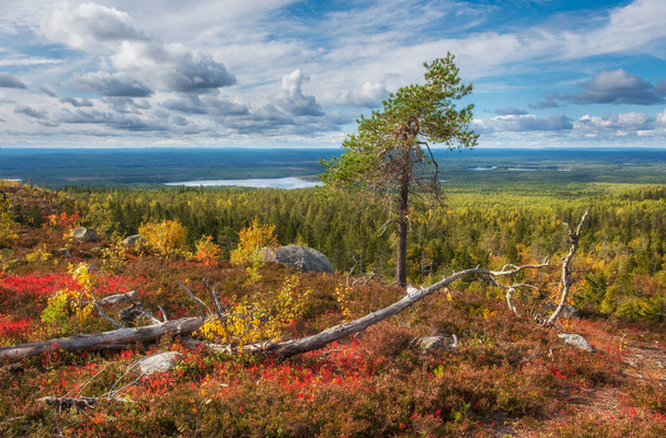 mystical mountain Vottovaara in Karelia during the golden autumn. Russian northern landscape  - Foto, immagini