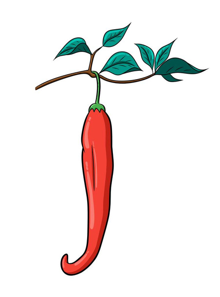 Cartoon cute Chili Vegetable vector for everyone, fresh and healthy food - Vector, Image