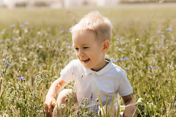 Little boy walking through the field in the summer. Childhood. Summertime. Summer vacation - Fotografie, Obrázek
