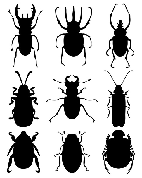 Bugs - Vector, Image