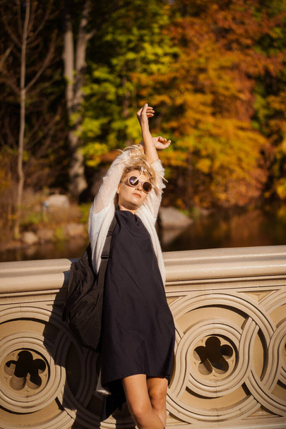 New York Manhattan Central Park in autumn, bridge over the lake. young woman walks in an autumn park in New York. - Φωτογραφία, εικόνα