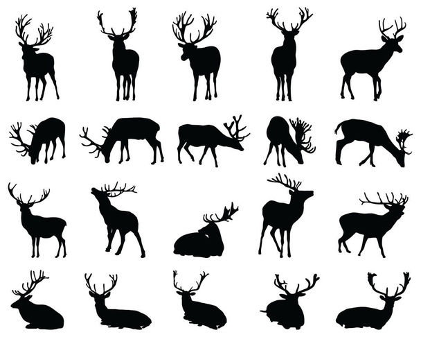 Graphic black silhouettes of wild deers on a white background - Vector, Image