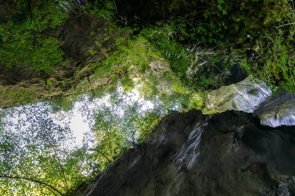 下から見た千年の岩に囲まれた深い峡谷。端には豊かな植生と背景の空. - 写真・画像