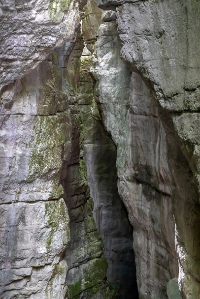Canyon esculpido na rocha milenar pelo fluxo do rio abaixo. Nas bordas a vegetação luxuriante. - Foto, Imagem