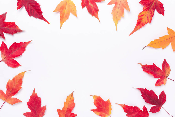 Autumn composition. Frame made of red maple leaves on white background. Copy space for your text. Autumn, fall concept - Фото, изображение