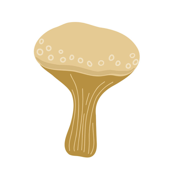 Гриби, жаби сезонні Хеллоуїн Векторні ілюстрації їстівні казкові гриби осінні канікули Простий мінімалістичний малюнок ручної роботи каракулі
 - Вектор, зображення