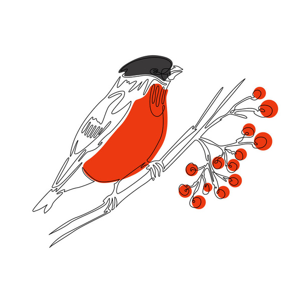 Vector illustration with one line and color spots. Bullfinch on a twig with mountain ash in winter. Suitable for postcards, design and decorative work, in the form of a print, website design. Christmas theme and winter motives - Vector, Image