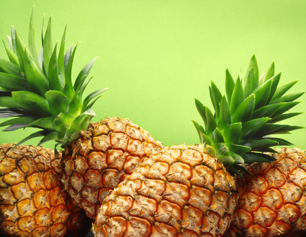 Тропічний ананасів
 - Фото, зображення