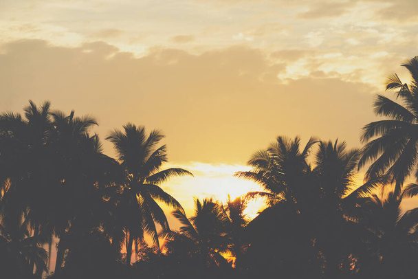 Tropische Palmen Kokospalmen am Sonnenuntergang Himmel flackern und Bokeh Natur bunt Kopie Raum Sommer Konzept Hintergrund. - Foto, Bild