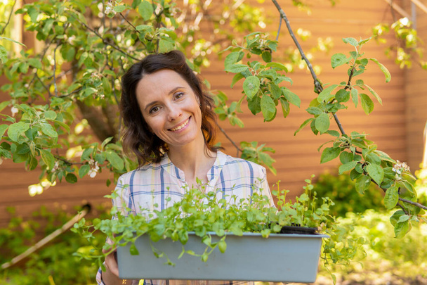 A woman is gardening in her backyard, she plants seedlings. - Foto, imagen