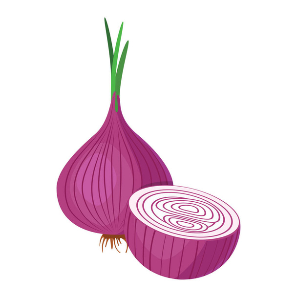 Red onion. A whole onion with green leaves and half of the onion, cut across. A delicious and healthy root vegetable used in cooking. Vector illustration isolated on a white background for design and web. - Вектор, зображення