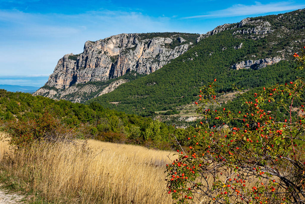 Verdon Gorge, Gorges du Verdon, úžasná krajina slavného kaňonu s klikatou tyrkysově zelenou barevnou řekou a vysokými vápencovými skalami ve francouzských Alpách, Provence, Francie - Fotografie, Obrázek