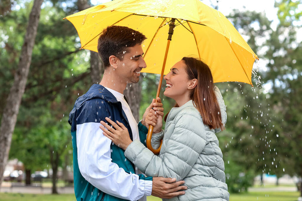Jovem casal com guarda-chuva no parque - Foto, Imagem