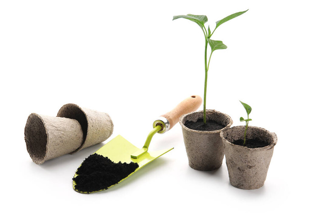 Plantas mudas em vasos de turfa e pá de jardinagem com solo sobre fundo branco - Foto, Imagem