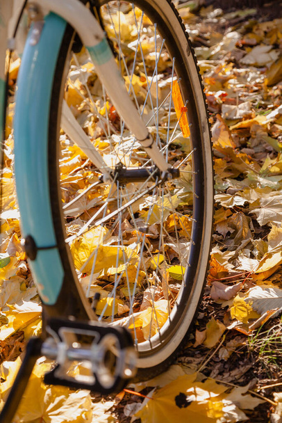 Bicycle Wheel stands on the fallen leaves of autumn trees. Side vie - Zdjęcie, obraz