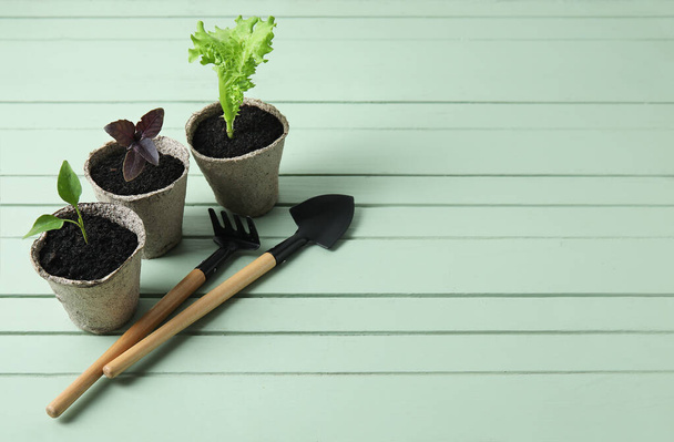 Plantes semis dans des pots de tourbe et des outils de jardinage sur fond en bois de couleur - Photo, image