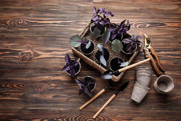 Plants seedlings in peat pots and gardening tools on wooden background - Fotografie, Obrázek