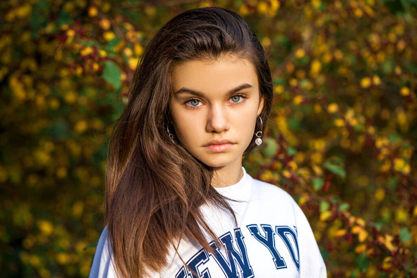 若い美しいブルネットの女の子の肖像、屋外の秋の公園 - 写真・画像