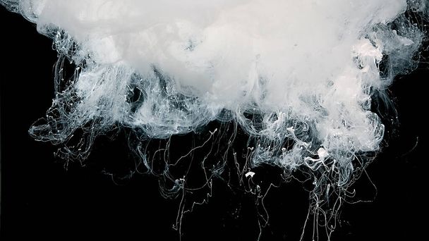 White watercolor paints in water. Cosmic magic abstract background. White cloud of ink on a black background. - Foto, imagen
