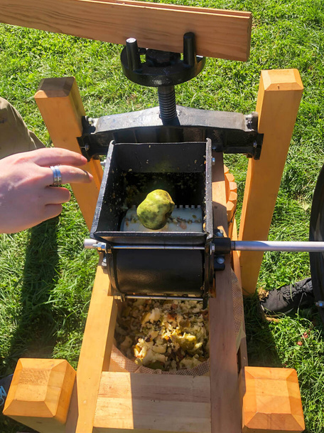 Bir adam eski usul elma suyu makinesini öğütücü ve öğütülmeye hazır elmalarla çalıştırıyor. Tarım doğası arka planı yeşil çimenler ve tarım arazileri, tek bir adamla doğal ışık altında çekilen ve uzayı kopyalayan. - Fotoğraf, Görsel