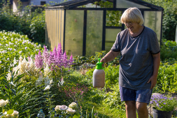 An elderly lady treats plants with a spray against pests in a blooming garden - Foto, imagen
