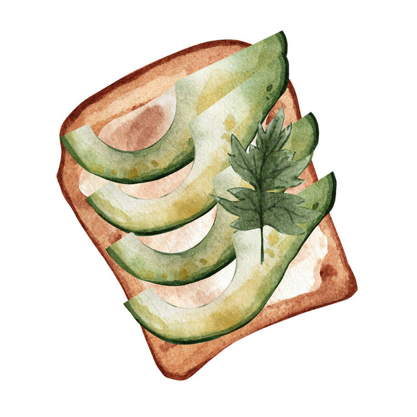 Watercolor style avocado sandwich. Healthy breakfast illustration. Vegetarian healthy food. - Valokuva, kuva