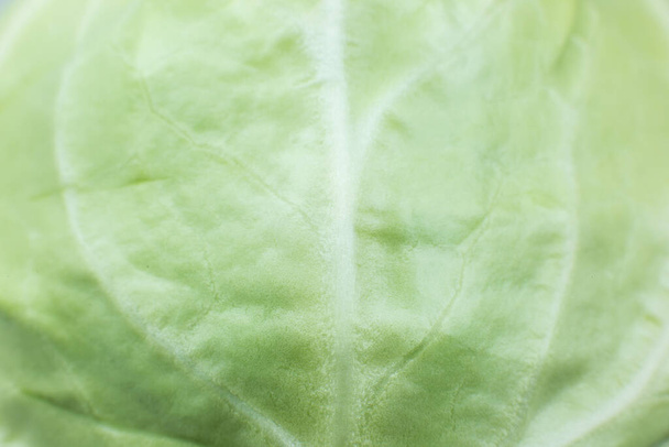 Green cabbage texture background. Close up. Macro photo. Natural eco wallpaper. Vegetarian food. Vegetable and vitamins products. - Photo, Image