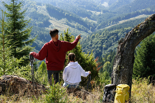 Tourists left their backpacks near tree during rest stop in mountains, back view - Fotografie, Obrázek