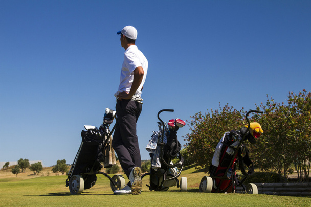 Игрок в гольф на красивом поле для гольфа
 - Фото, изображение