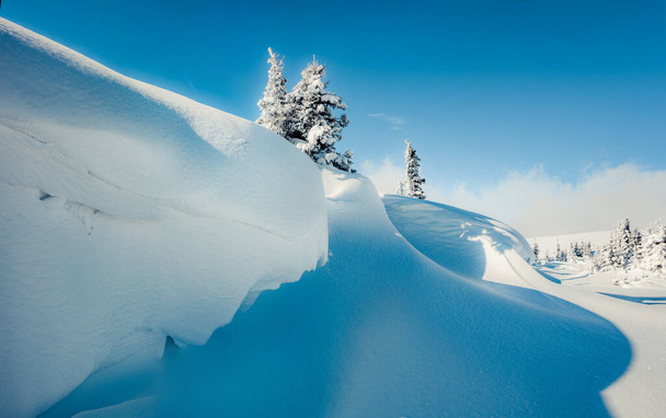 Zadziwiający poranek widok na górski las. Niesamowita scena plenerowa z jodłami pokrytymi świeżym śniegiem. Piękny zimowy krajobraz. Szczęśliwego Nowego Roku koncepcja świętowania. - Zdjęcie, obraz