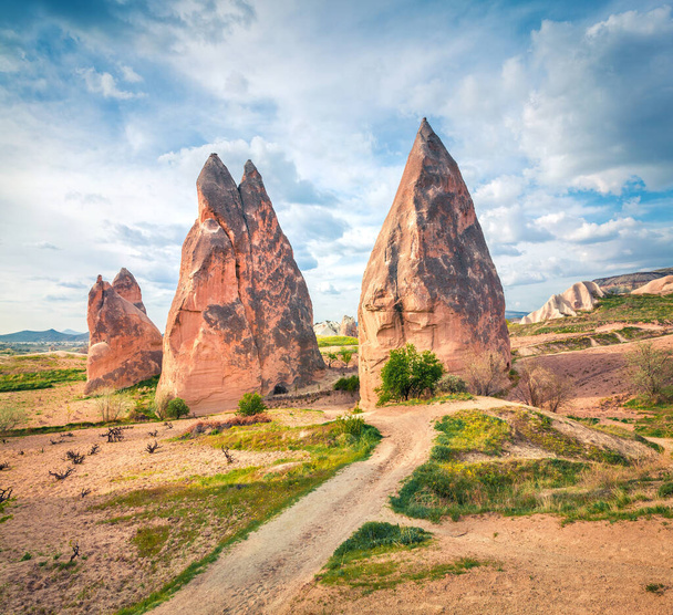 Fantactic spring scene of Cappadocia. Picturesque morning view of of Red Rose valley in April. Cavusin village located, district of Nevsehir, Turkey, Asia. Traveling concept background. - Fotografie, Obrázek