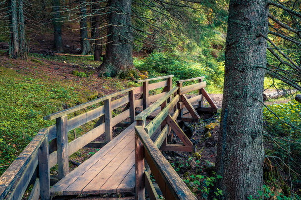 Muhteşem orman, Kara Göl (Crno Jezero) mevkiinde tahta köprü. Durmitor Nacionalni Park 'ın sisli yaz manzarası, Zabljak bölgesi, Karadağ, Avrupa. Doğa konseptinin güzelliği. - Fotoğraf, Görsel