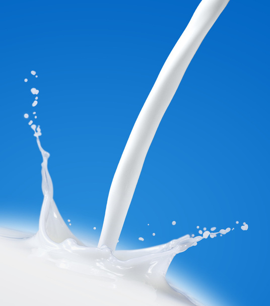 Fresh Milk Splash - Photo, Image