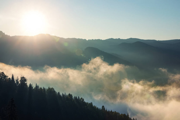 Beautiful view of mountains covered with fog at sunrise - Foto, Bild