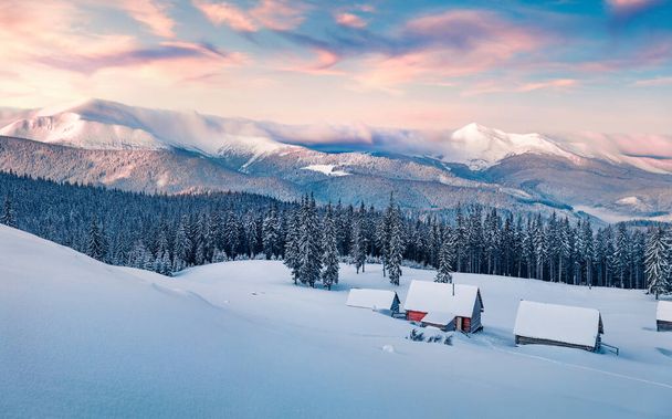 Frosty winter sunrise in Carpathian mountains with snow covered fir trees. Dreamy outdoor panorama, Happy New Year celebration concept. Artistic style post processed photo. - Фото, зображення